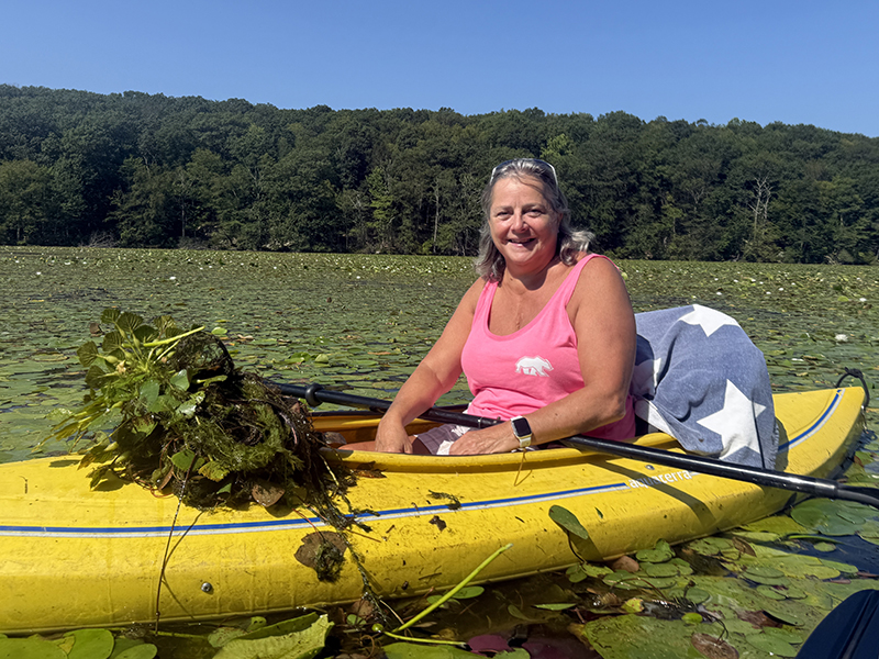 Donna scouting for water chestnut