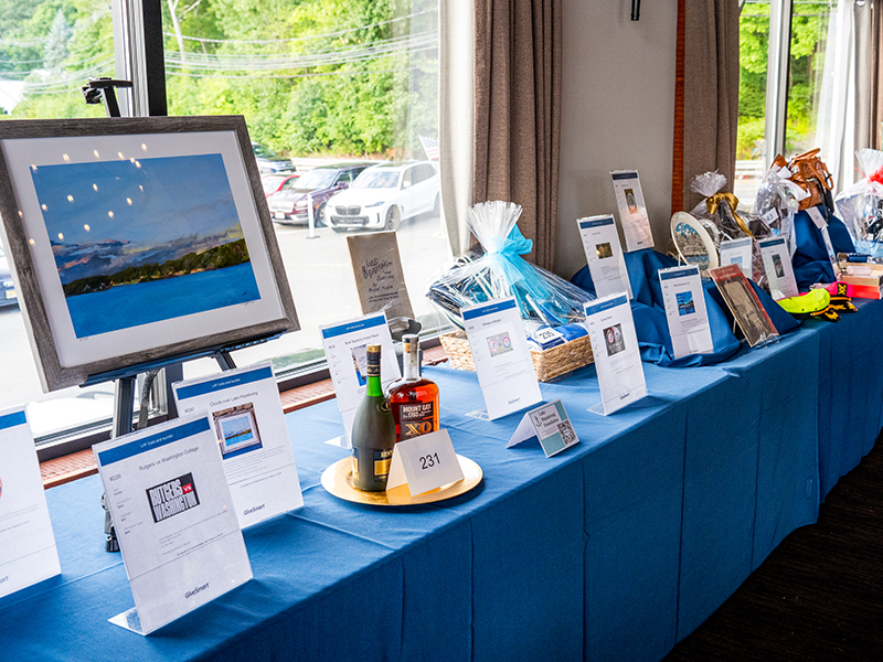 LHF Gala Auction 2024