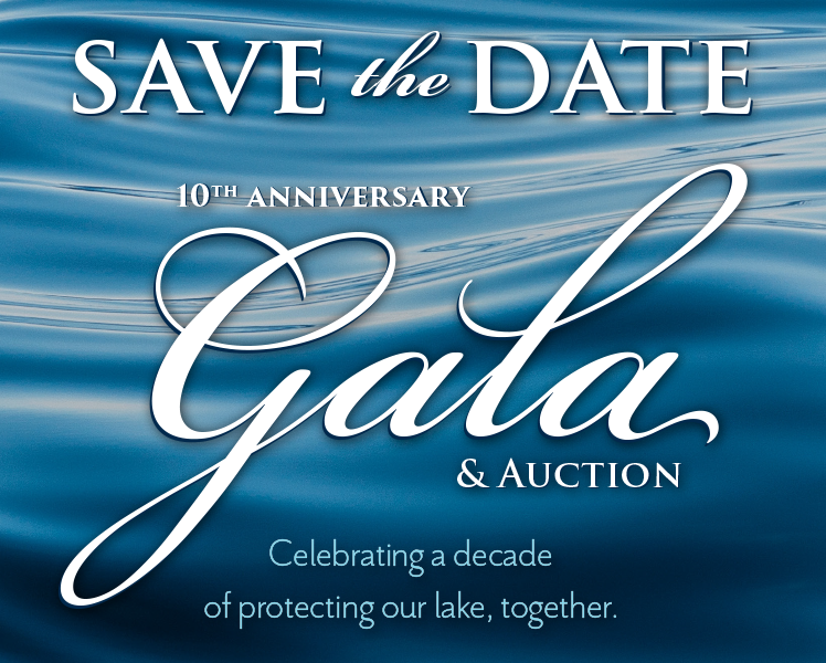 Save the date for our 10th Anniversary Gala & Auction