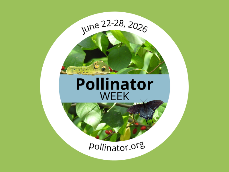 Pollinator Week Logo