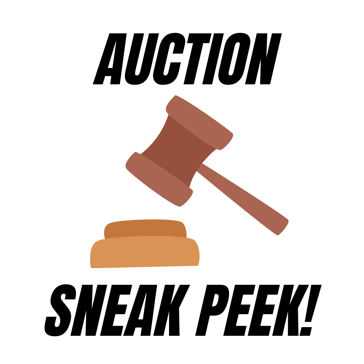 Read on for a sneak peek of the auction