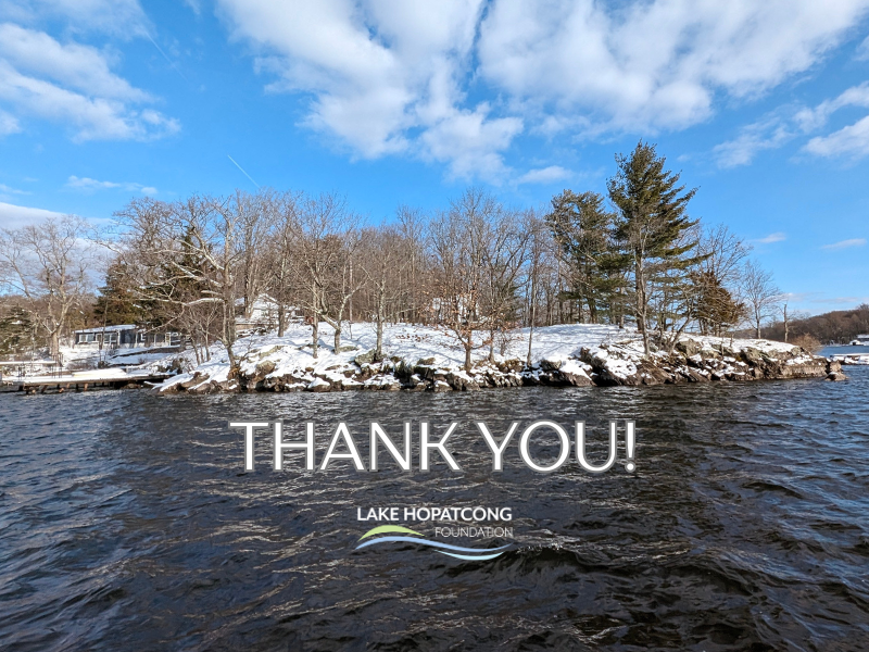 Thank You Winter Lake Photo