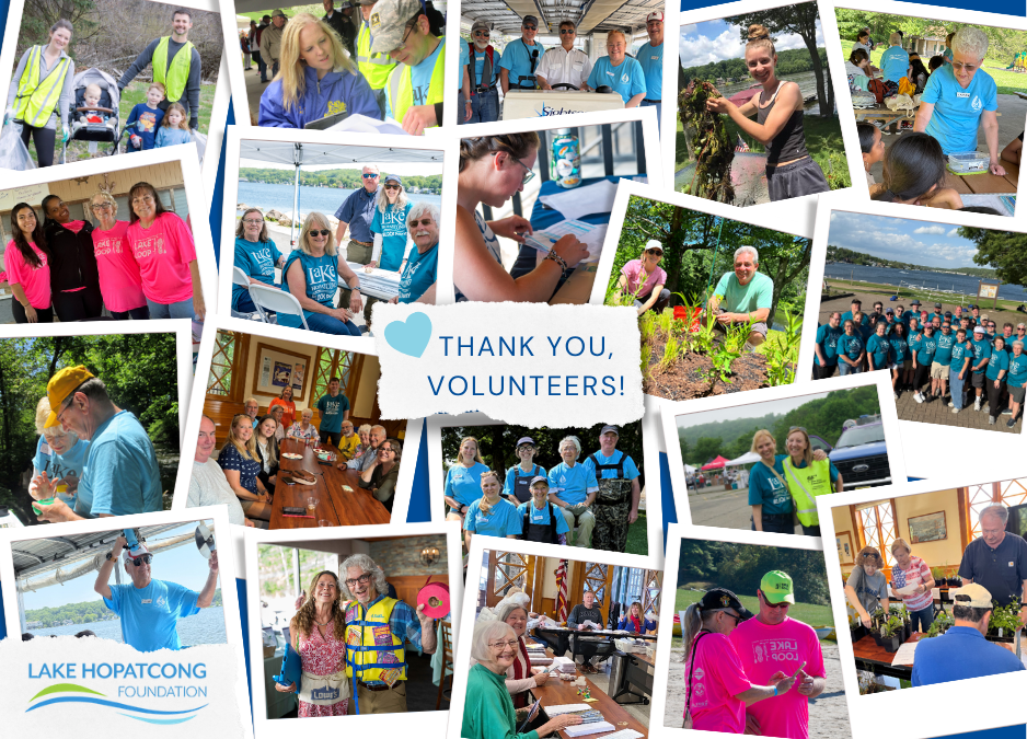 Thank you Volunteers